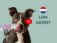 De vers gestoomde WOOOF hondenworst met lam is volledig natuurlijk en bevordert een gezonde ontlasting. Deze verse hondenworst is tarwevrij en ondersteunt de spijsvertering.&hellip;