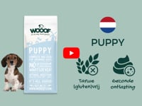 WOOOF Puppyvoer is er speciaal voor de opgroeiende pup. Je wilt natuurlijk dat jouw honden gelijkmatig opgroeit met de juiste hondenvoeding. De puppybrokken van&amp;hellip;