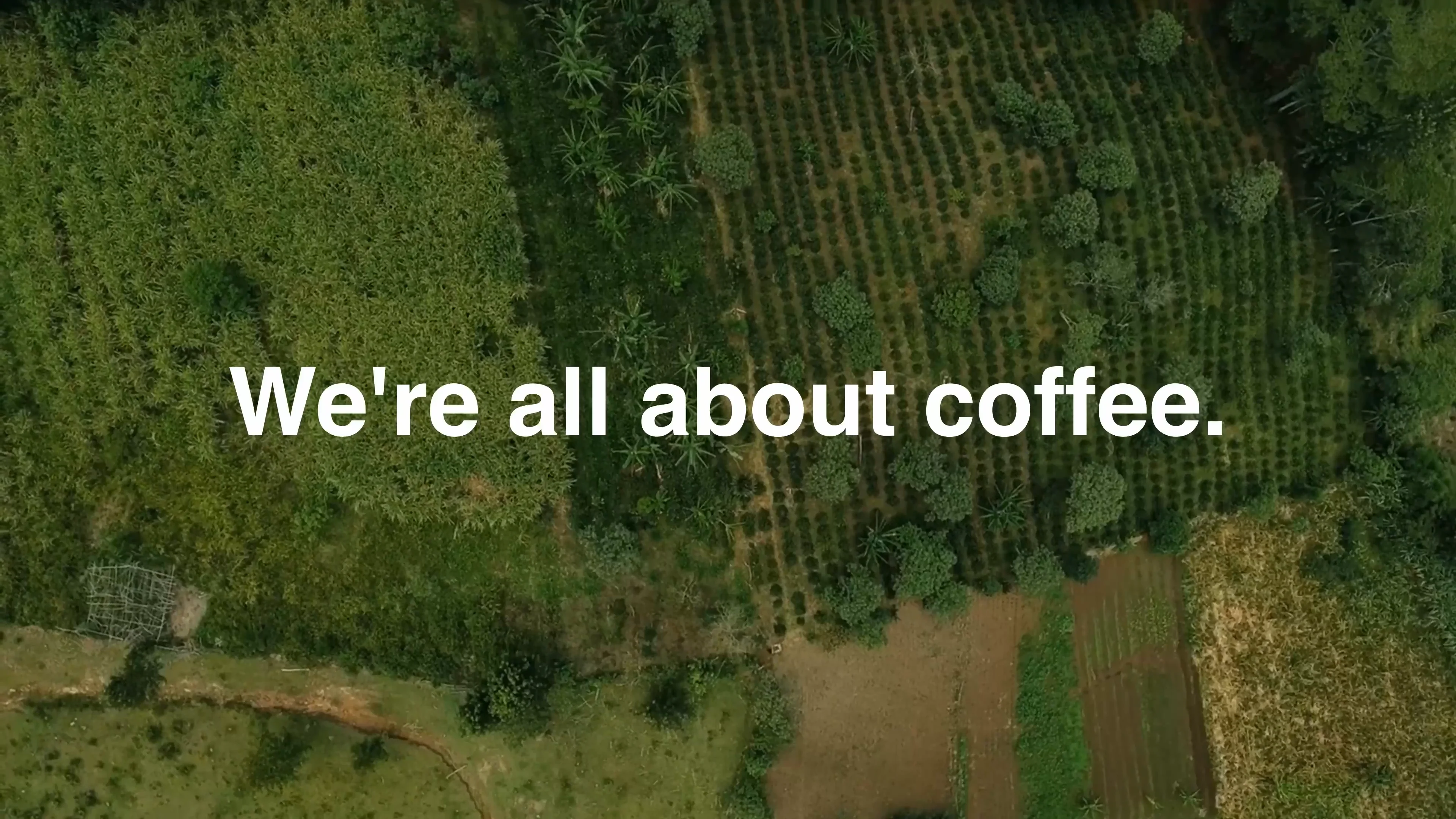 We're Neumann Kaffee Gruppe (NKG): We're all about coffee. Today. Tomorrow. Together.