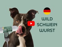 Die frisch ged&amp;auml;mpfte WOOOF Wildschweinwurst f&amp;uuml;r Hunde ist komplett nat&amp;uuml;rlich und tr&amp;auml;gt zu einer gesunden Verdauung bei. Diese frische Hundewurst&amp;hellip;