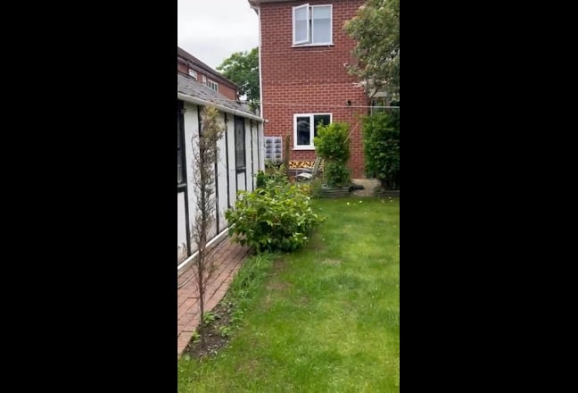 Video 1: 