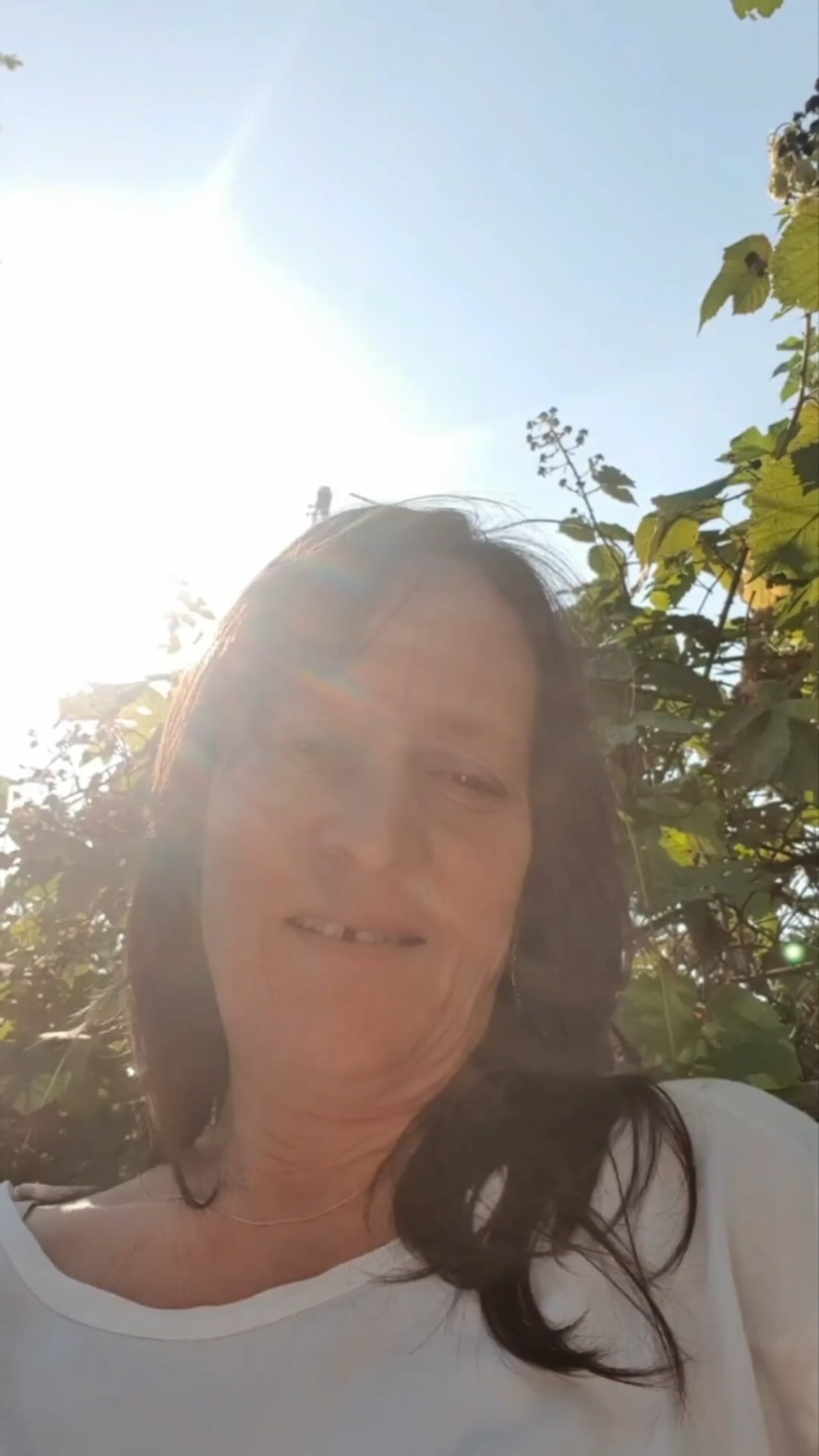 Brustgesundheit – Videokurs mit Qigong von Natalie Mackel