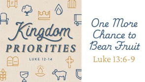 One More Chance to Bear Fruit