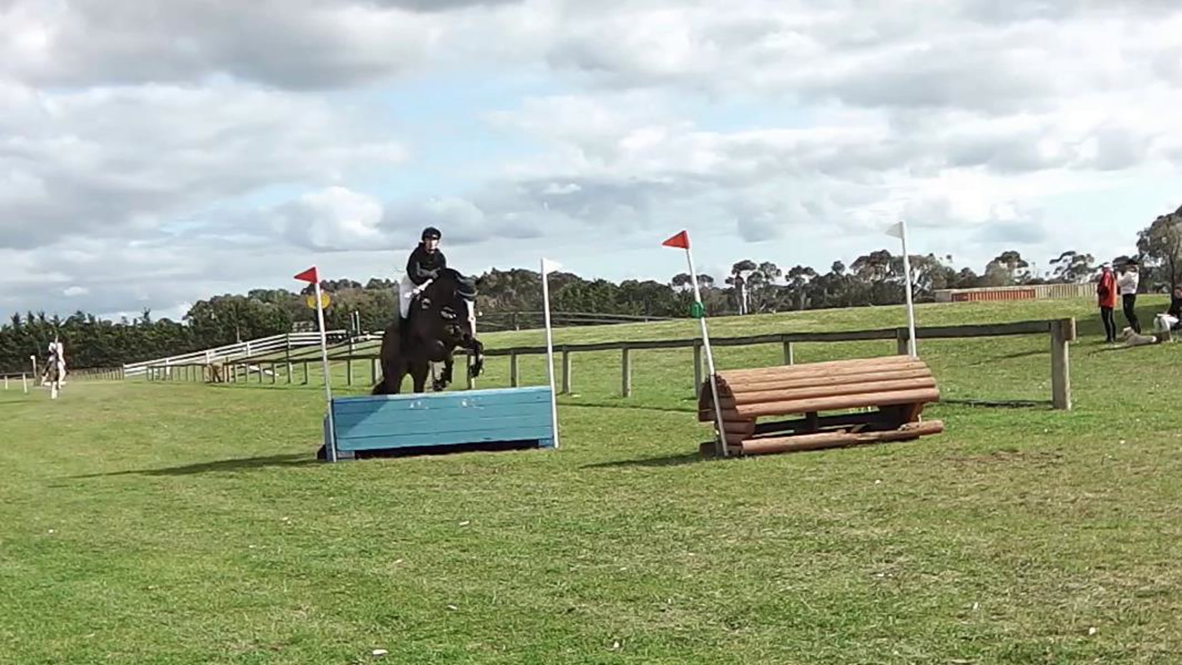 Diana Svenningsson riding King Abraham 348 Grade 3 Werribee Pony Club ...