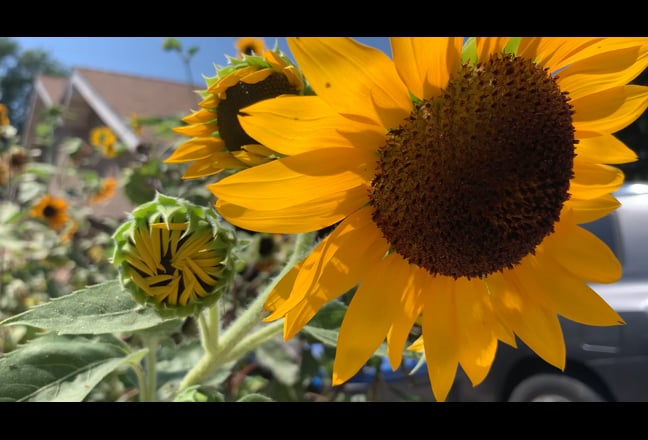 🇺🇸 🌻Cozy Cute ☀️ Room for rent Simi Valley CA Main Photo