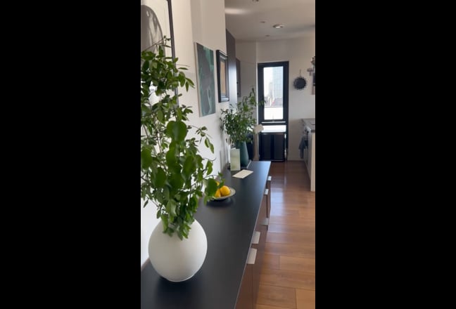 Video 1: