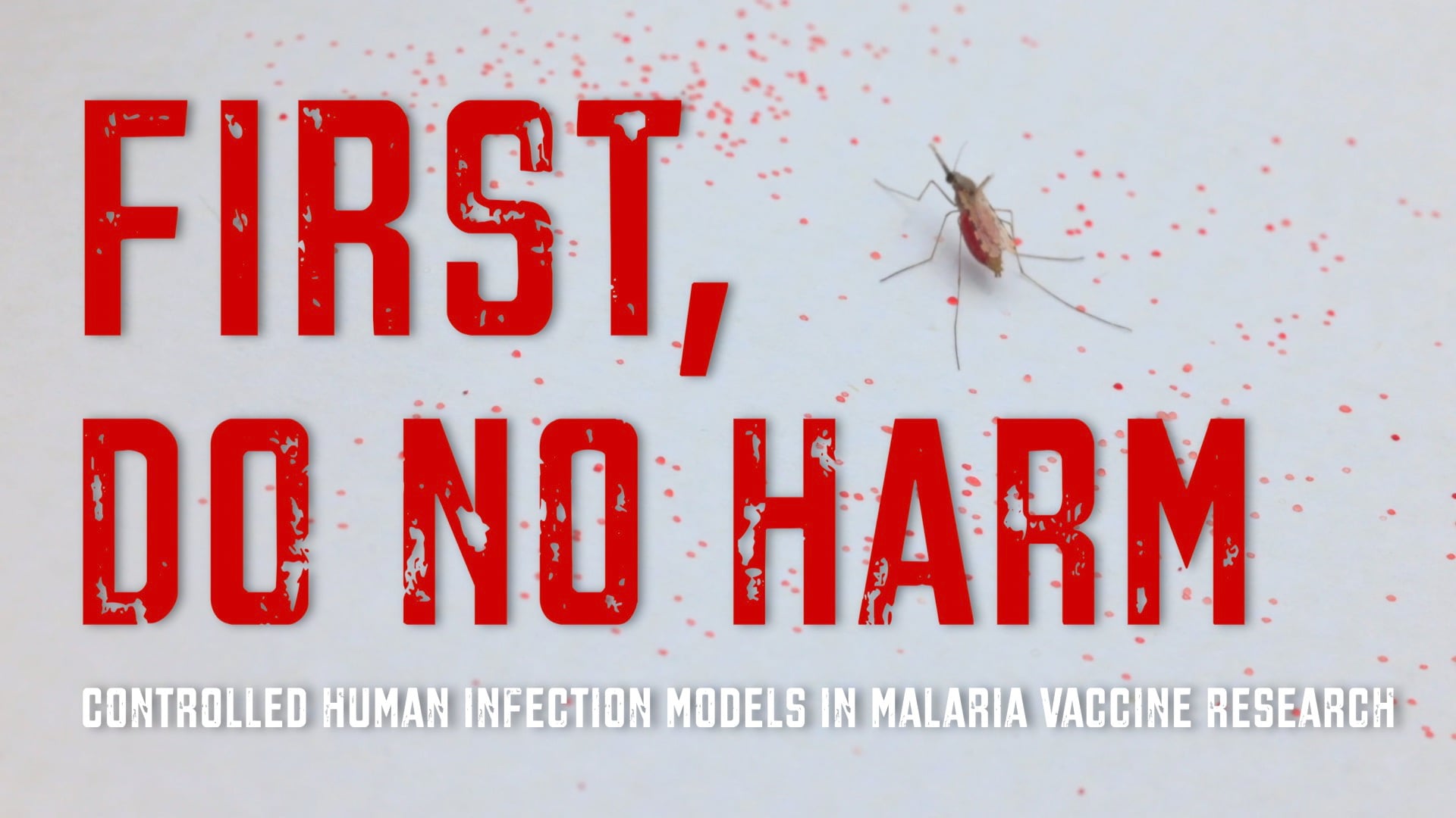 First do no Harm, Controlled Human Infection Models in Malaria Vaccine Research by LUMC
