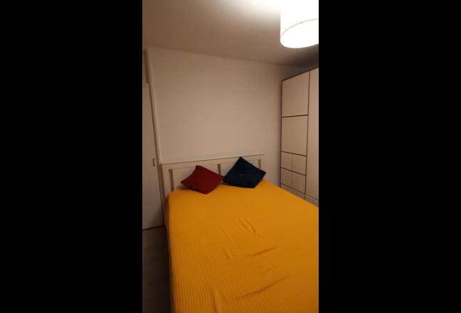 Video 1: