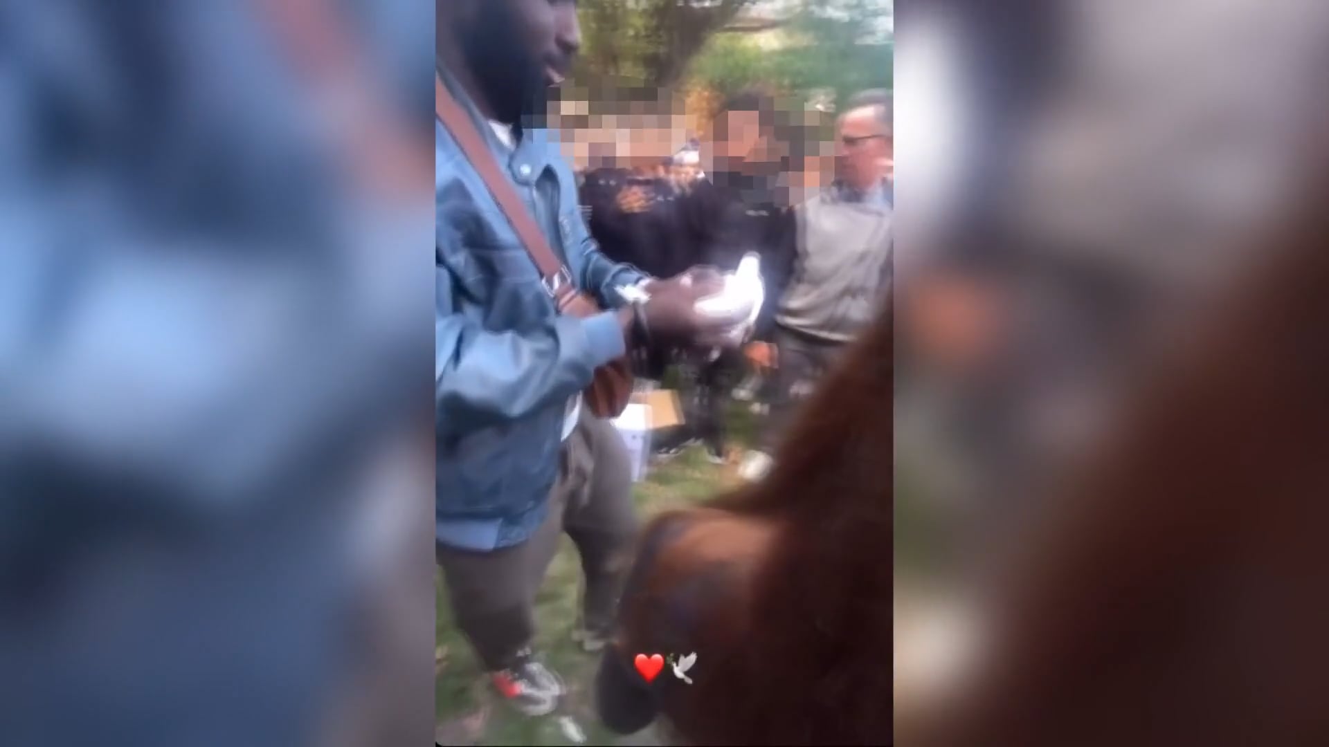 Fallou Sall, per il compleanno genitori e amici liberano in cielo due colombe