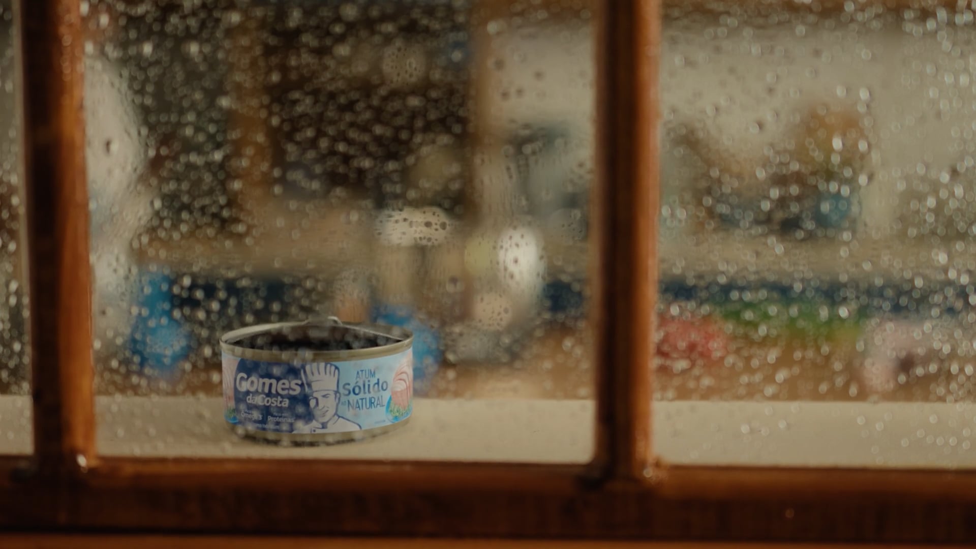 Gomes da Costa /// Declaração