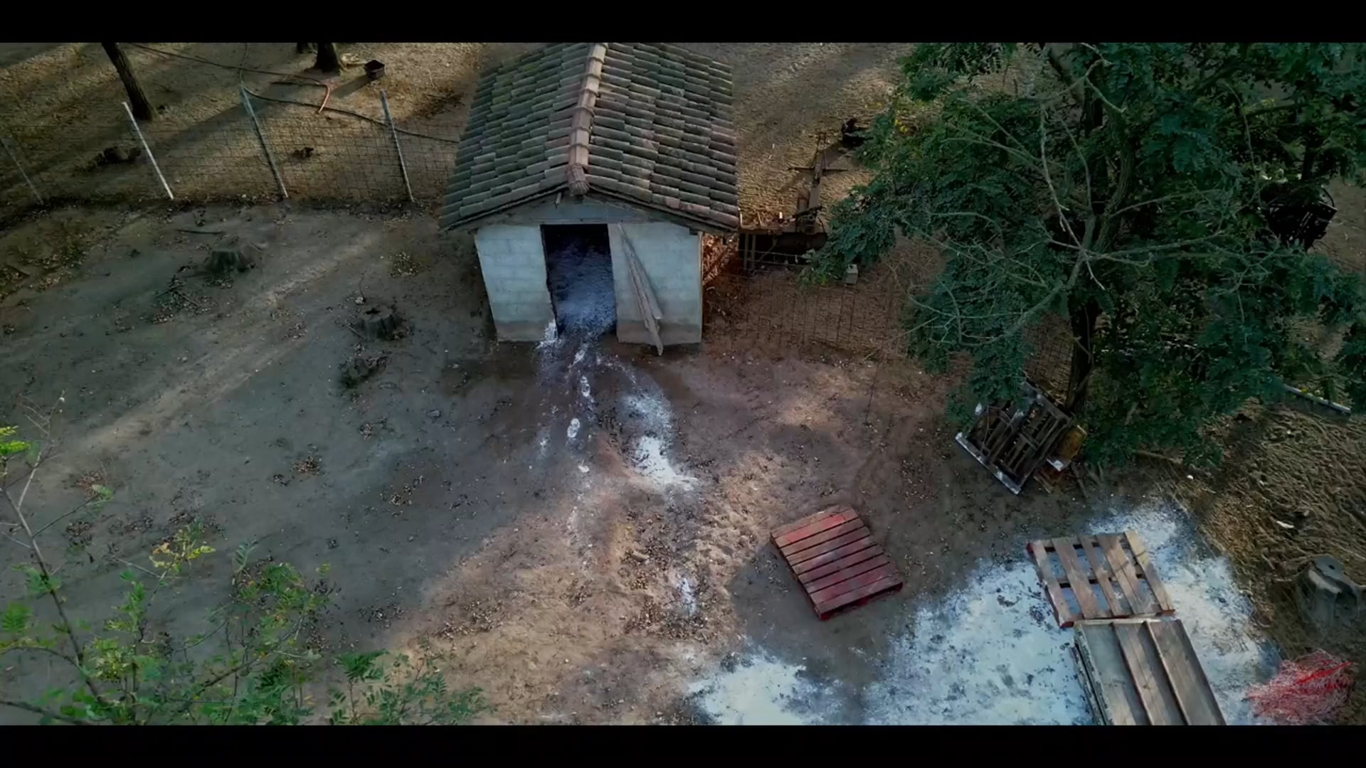 Cuori Liberi. Official trailer