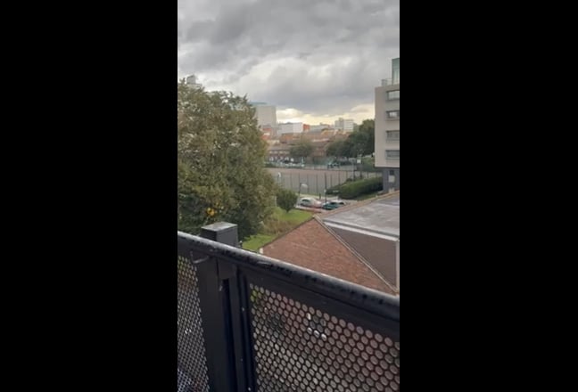 Video 1: