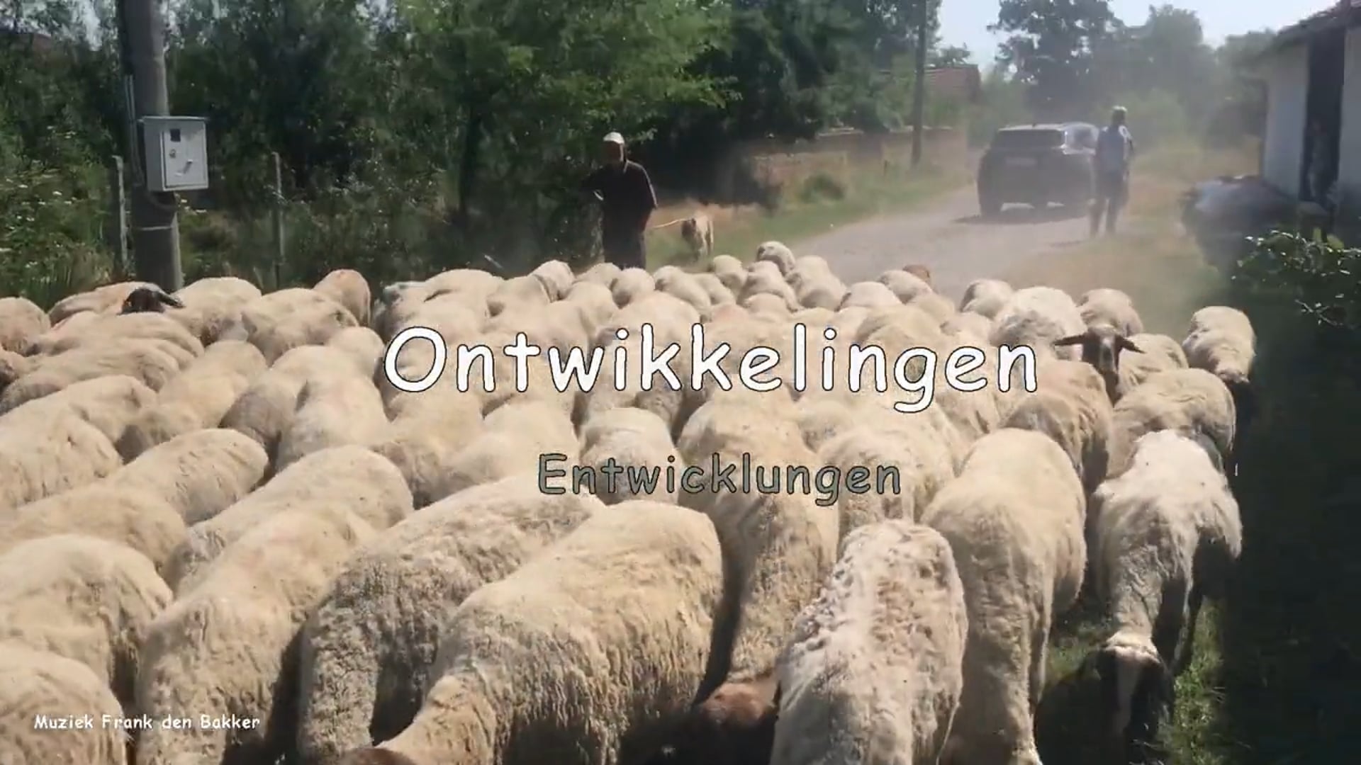 12 Entwicklungen DE