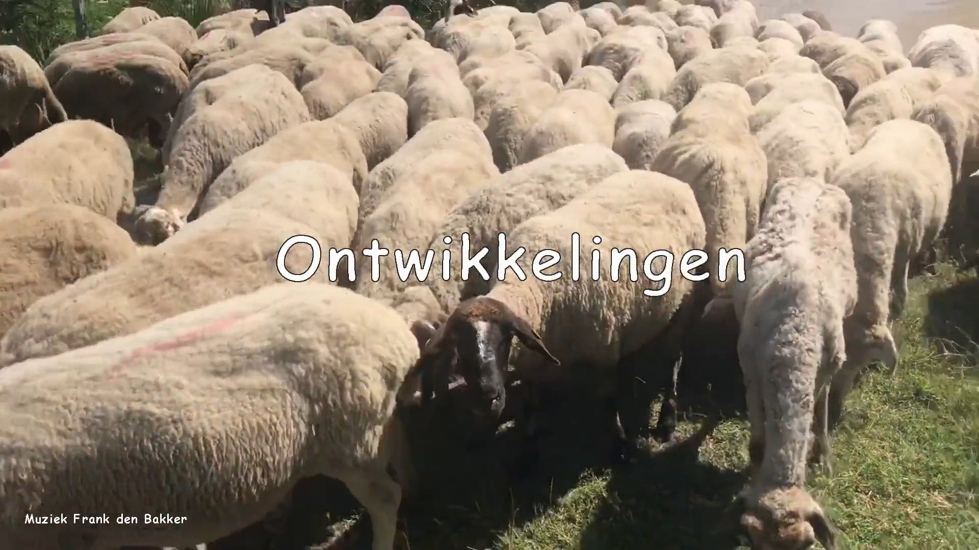 12 Ontwikkelingen NL