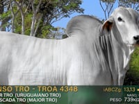 Lote 03