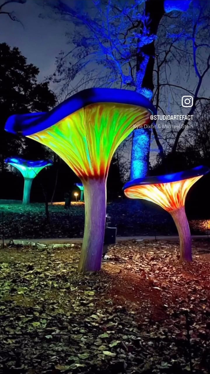 WildWoods: AGLOW - Immersive Experience at Fernbank Museum - Studio Artefact