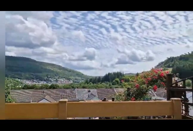 Video 1: Garden view with sunrise