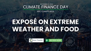 Panel 4: Exposé on Extreme Weather and Food – Climate Finance Day 2024