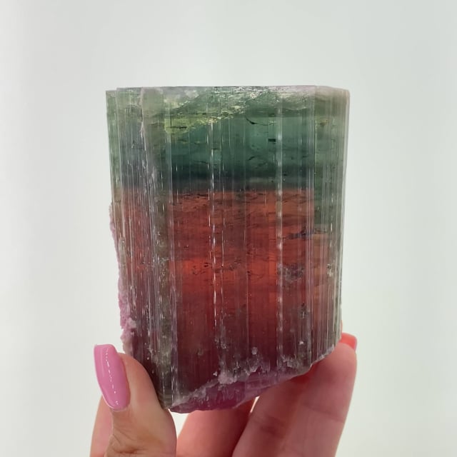 Tourmaline deals Elbaite. 63.44 ct. Cruzeiro mine, Minas Gerais, Brazil