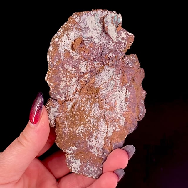 Copper pseudomorph after Aragonite on Copper (rare matrix specimen)