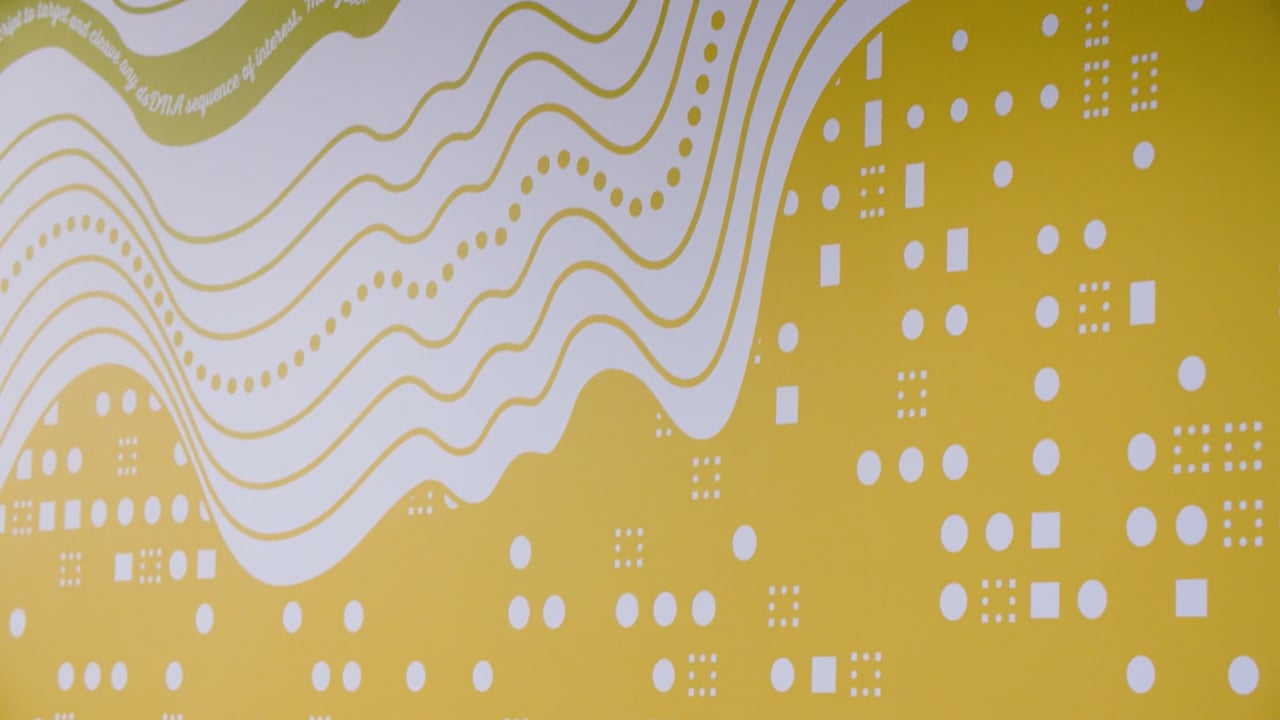 CRISPR office design walkthrough film for LLM Designs