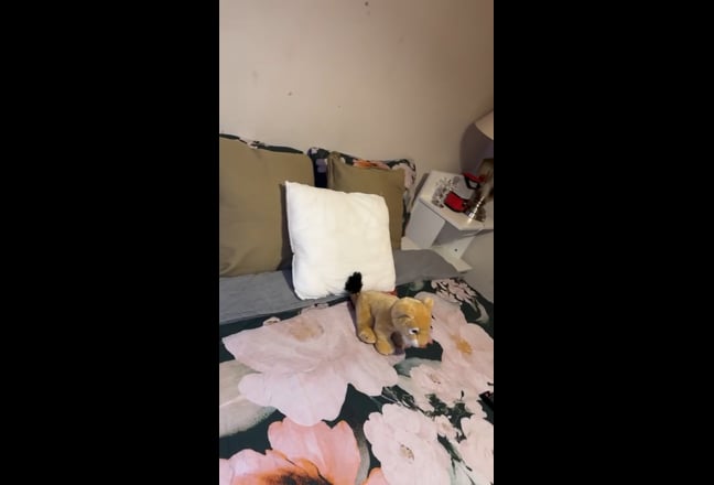 Video 1: Room (Yours)