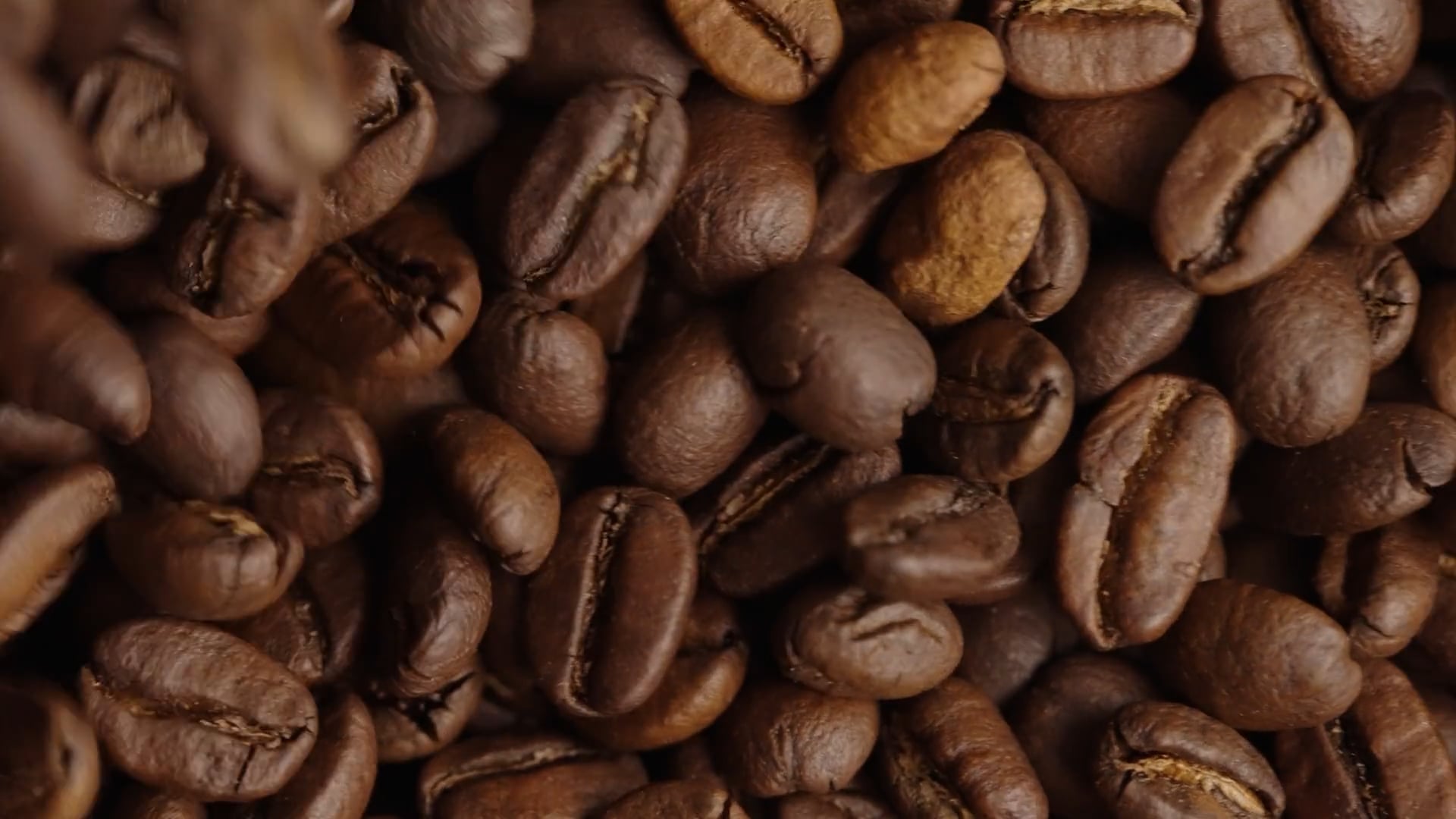 La Brulerie D'Enghien