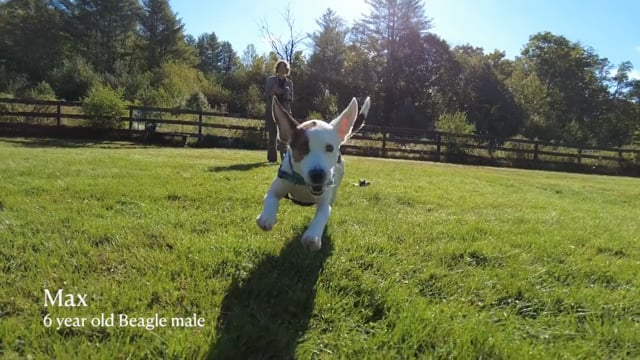 Lucy Mackenzie  September "Adoptables" 2024