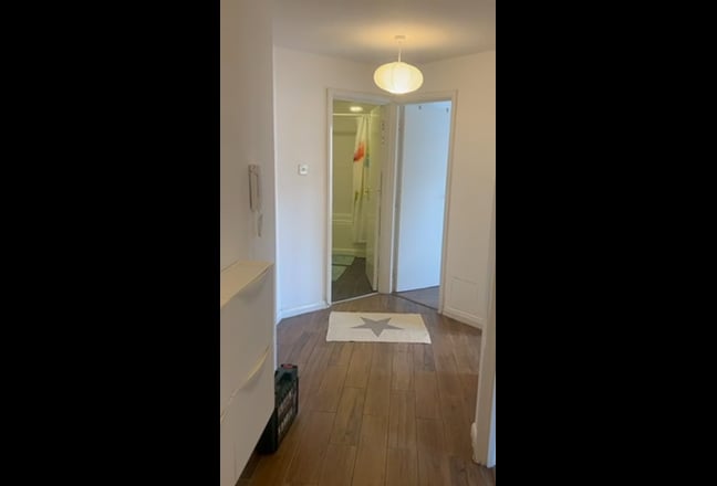 Video 1: