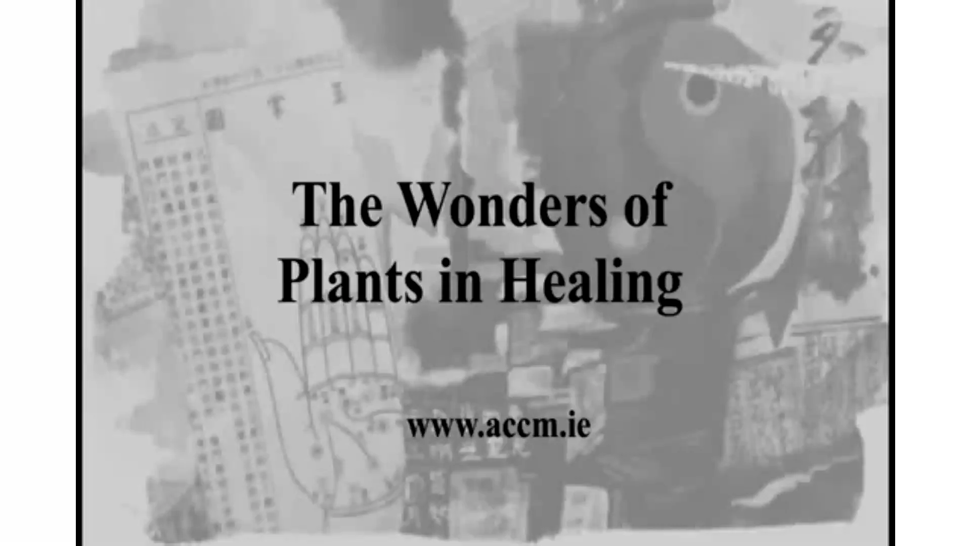 Watch The Wonders of Plants in Healing Online Vimeo On Demand on Vimeo