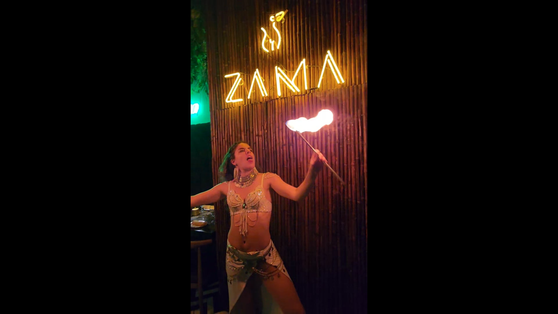 Promotional video thumbnail 3 for Expressive Entertainers