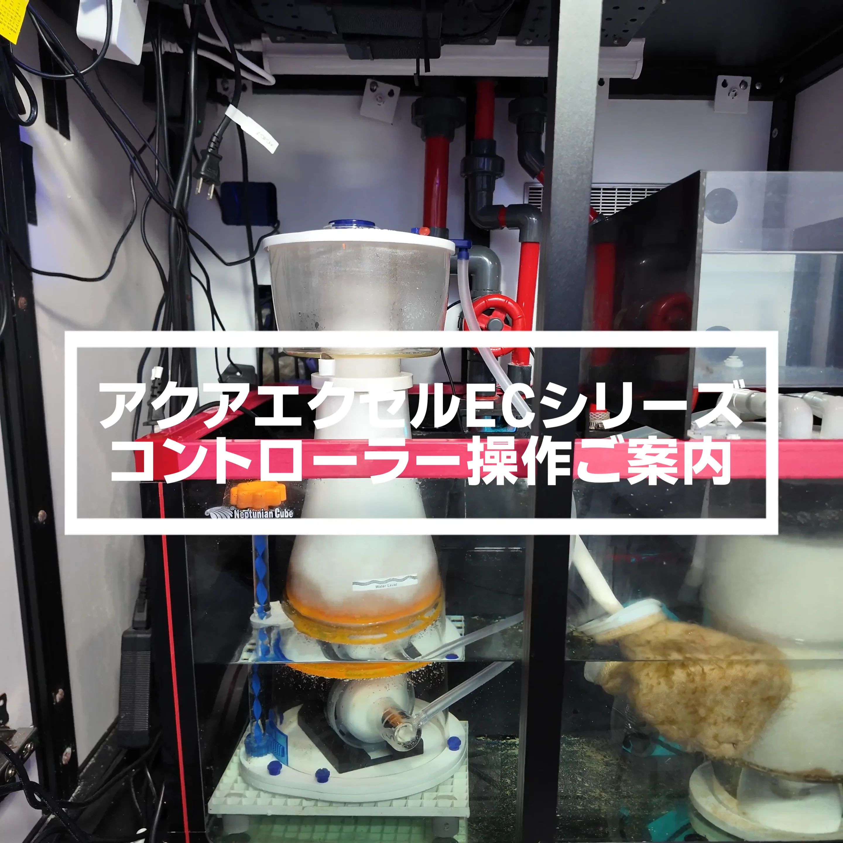 AquaExcel プロテインスキマー アクアエクセル　DCポンプ静音 200㍑ AquaExcel プロテインスキマー アクアエクセル DCポンプ静音 200
