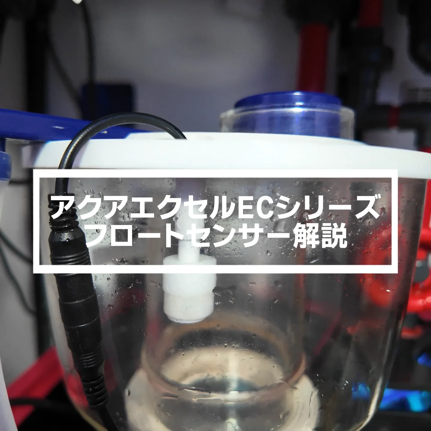 アクアエクセル　AE-NANO70 プロテインスキマー DC12V アクアエクセル ナノ 40D 50D 70D ミニプロテインスキマー