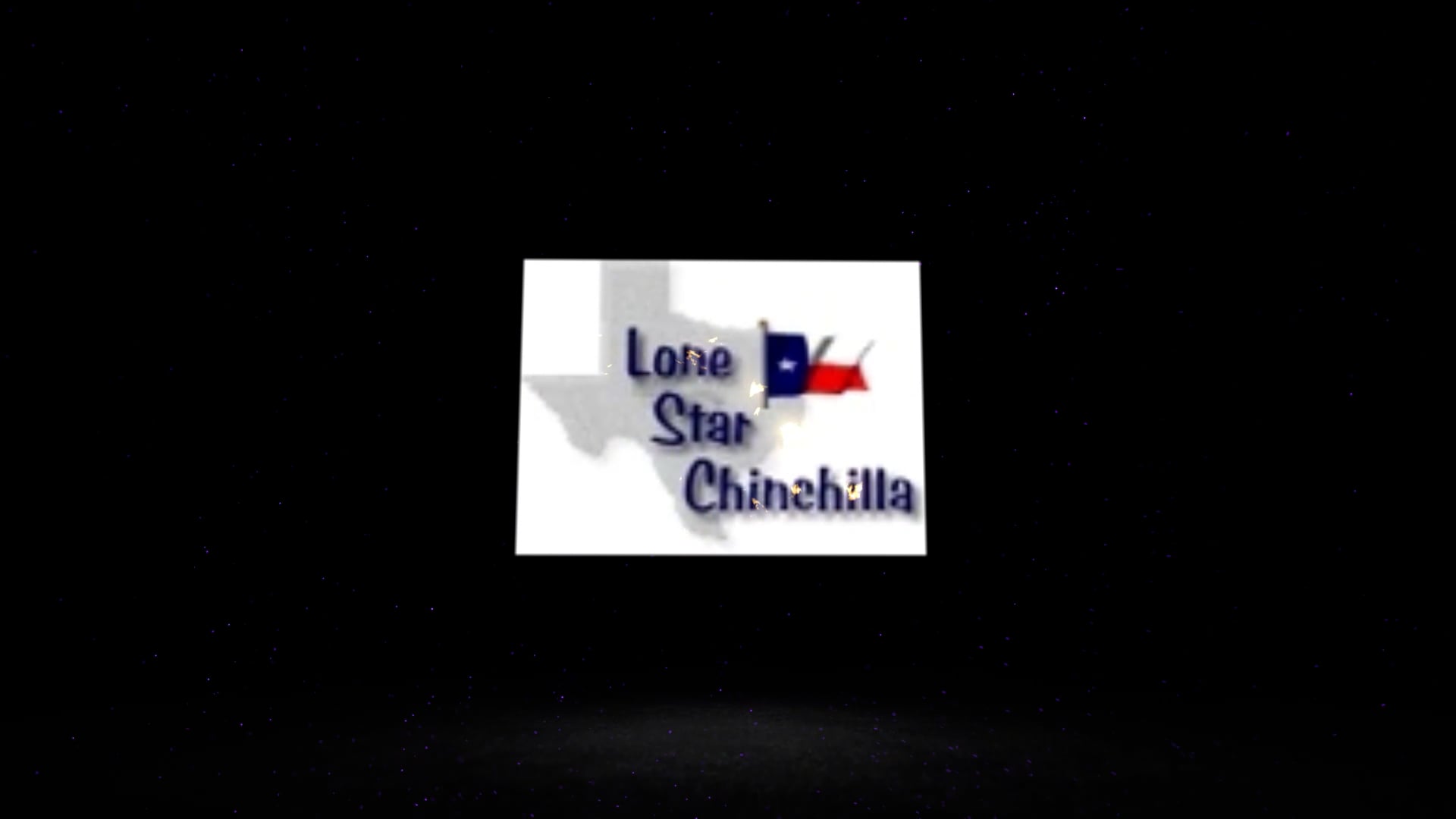 lonestarchinchilla.com