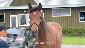 動画サムネイル
