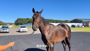 動画サムネイル