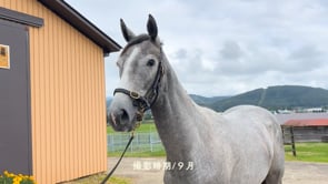 動画サムネイル