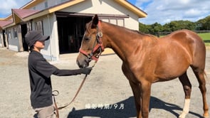 動画サムネイル