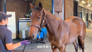動画サムネイル