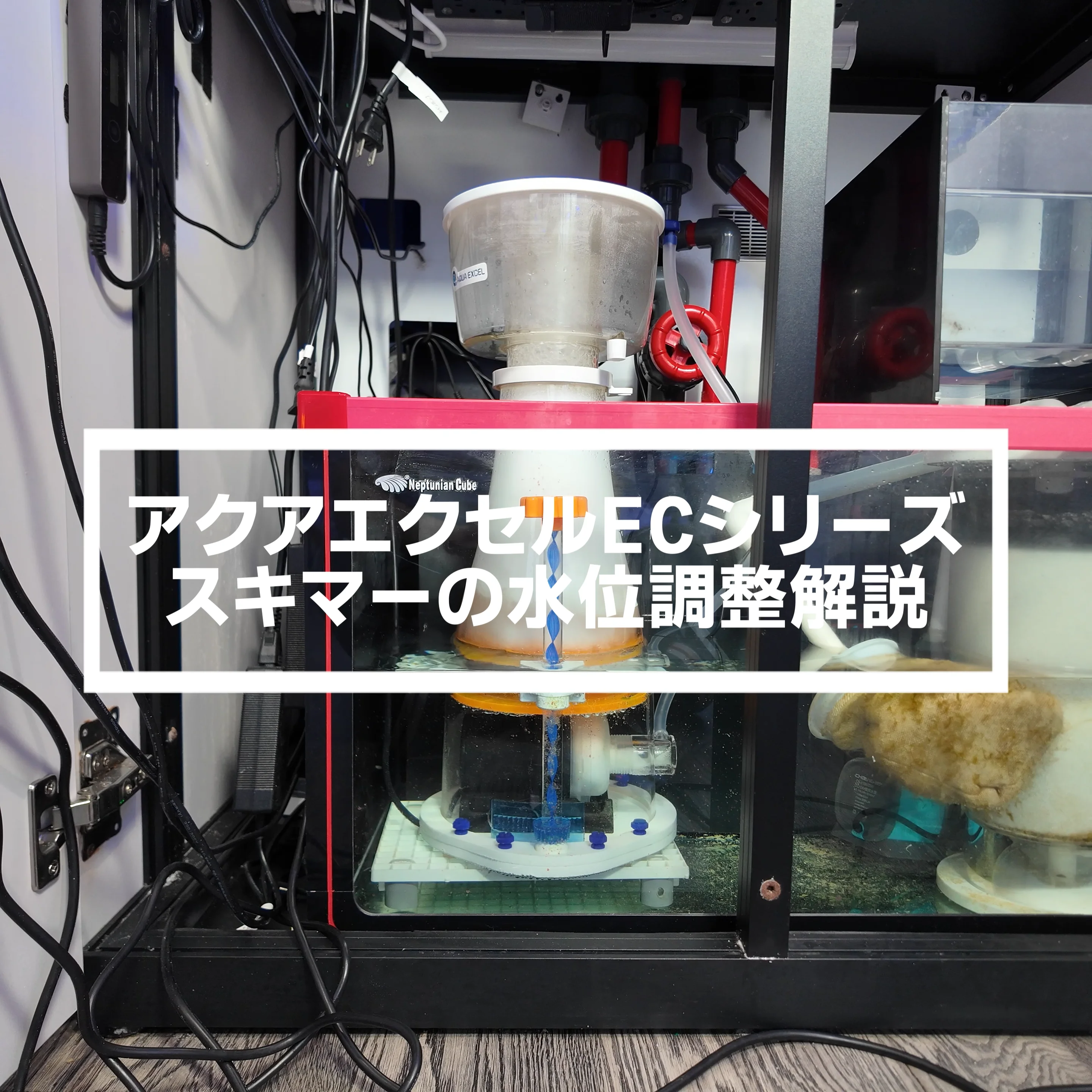 アクアエクセルECシリーズ | 高性能プロテインスキマー | アクア