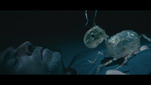 Minimus | Le Bruit des Ombres