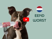 De vers gestoomde WOOOF hondenworst met eend is volledig natuurlijk en draagt bij aan een gezonde ontlasting. Deze verse hondenworst is tarwevrij en ondersteunt&hellip;