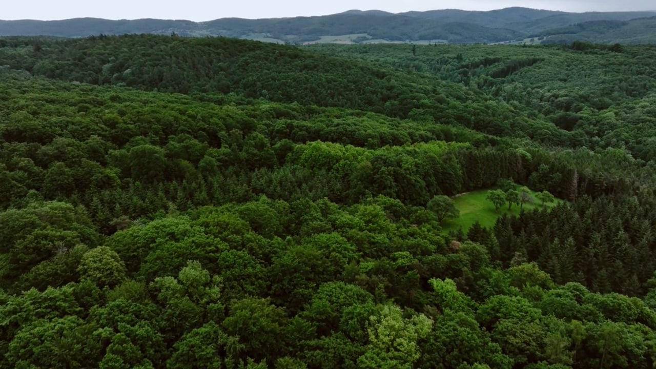 Homebase-04 cutdown_GF