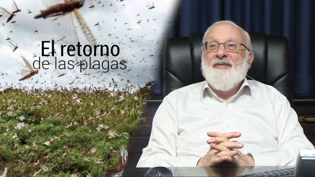 El Egipto moderno del 2020 || El retorno de las plagas