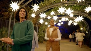 Enchanted Forest of Light