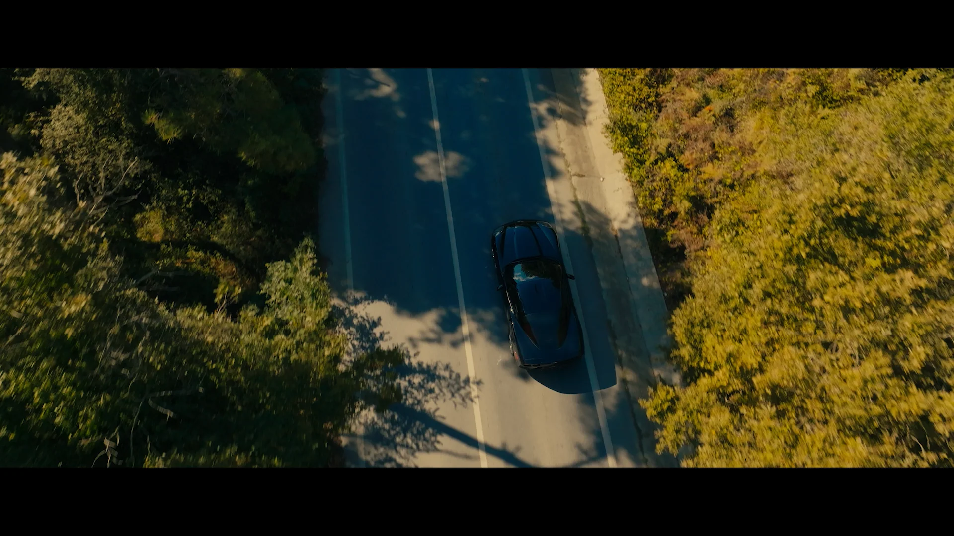 The Final Party_Trailer