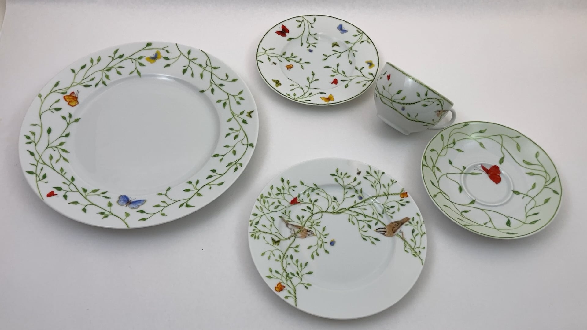 Raynaud Limoges France Porcelain Set Histoire Naturelle Design by