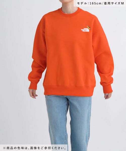 THE NORTH FACE(ザ・ノース・フェイス)】ズーピッカークルー | [公式 