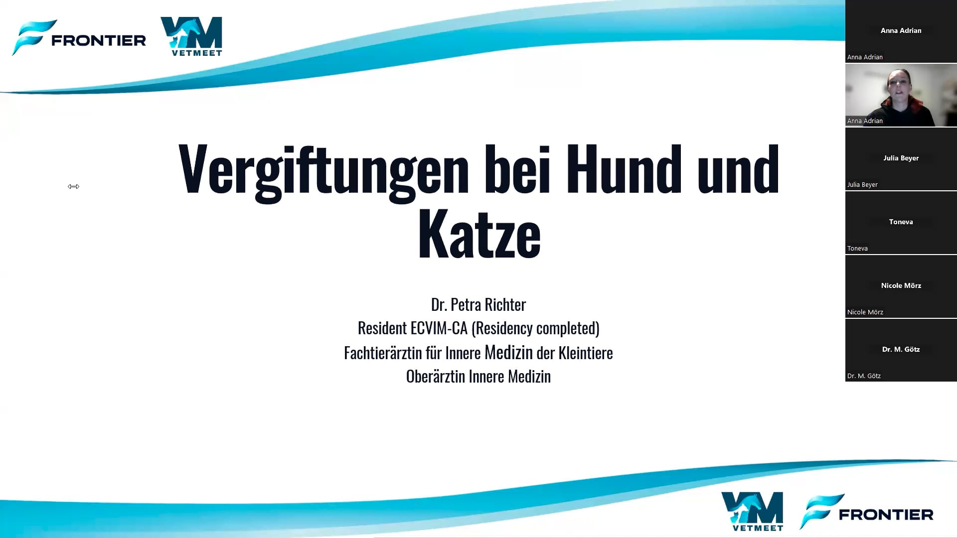 Vergiftungen bei Hund und Katze