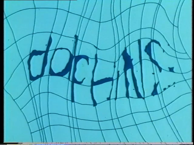Thumbnail for Dolphins